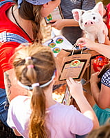 Activity: Bug Learning Corner Activity: Bug Learning Corner
