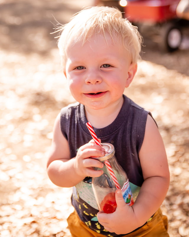 Rental: Milk Bottle with Straws
