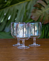 Rental: Acrylic Goblets
