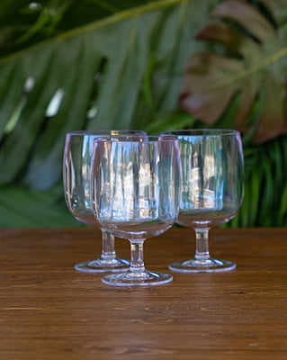Rental: Acrylic Goblets