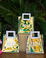 Pool Party Bag Pool Party Bag