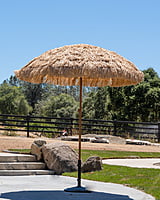 Rental: Poolside Umbrella & Stand