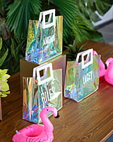 Pool Party Bag Pool Party Bag