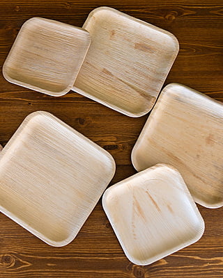 Extra Bamboo Dinner Plates (25)