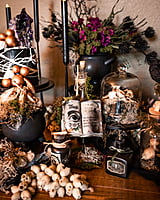 Apothecary Dinner Party Kit