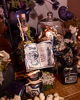 Apothecary Dinner Party Kit