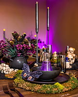 Apothecary Dinner Party Additional Guest