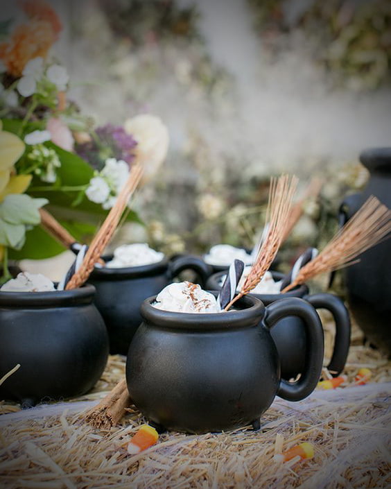 Caudron Mugs